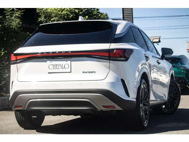 2024 Lexus RX350 Version L 2.4 — not F SPORT — rx350-2024-03-version-l photo 9